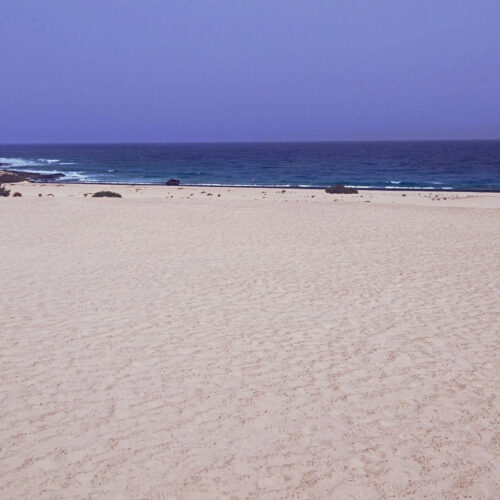 VIVE Fuerteventura - Beaches - Playas de Corralejo_03_1920x1100px