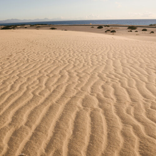 VIVE Fuerteventura - Beaches - Playas de Corralejo_04_1920x1100px