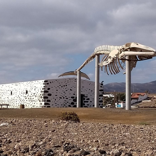 VIVE Fuerteventura - Museen & Kultur - Museo de Las Salinas del Carmen_500x500px