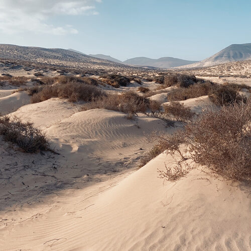 VIVE Fuerteventura - Grandes Playas de Corralejo - Intro 02