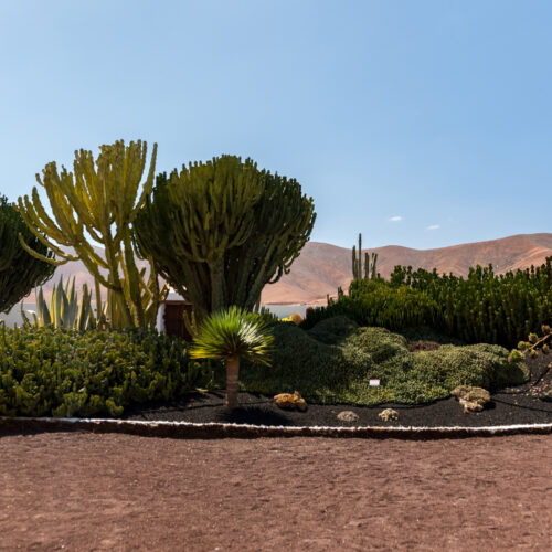 VIVE Fuerteventura_Städte & Dörfer_Antigua_Museo del Queso Majorero_1920x1100px