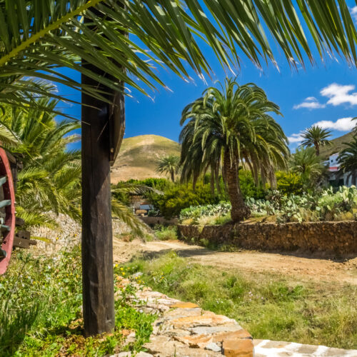 VIVE Fuerteventura_Städte & Dörfer_Betancuria_05_1920x1100px