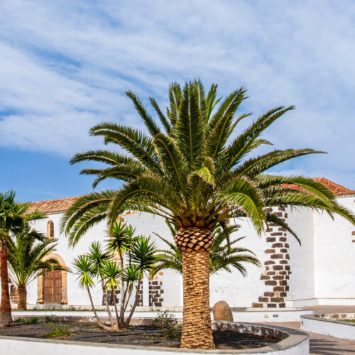 VIVE Fuerteventura_Städte & Dörfer_La Oliva_04_1920x1100px