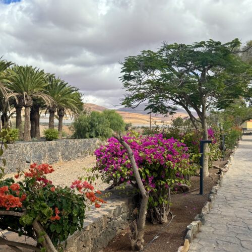 VIVE Fuerteventura_Städte & Dörfer_Pájara_mobil_06_1920x1100px