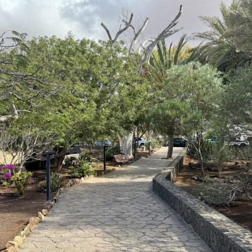 VIVE Fuerteventura_Städte & Dörfer_Pájara_mobil_08_1920x1100px