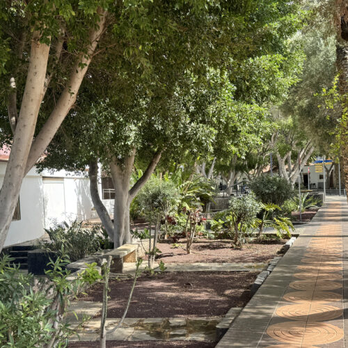 VIVE Fuerteventura_Städte & Dörfer_Pájara_mobil_10_1920x1100px