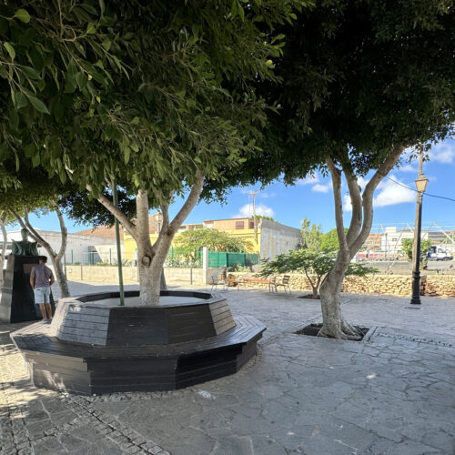 VIVE Fuerteventura_Städte & Dörfer_Tiscamanita_mobil_05_1920x1100px