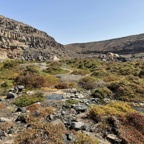 IMG_4294barranco de los molinos