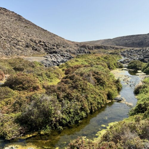 IMG_4313barranco de los molinos