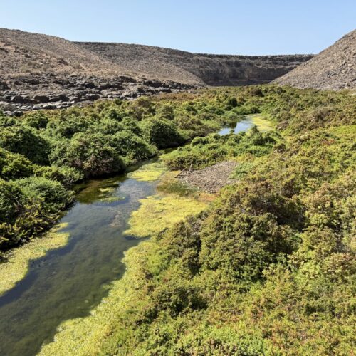 IMG_4326barranco de los molinos