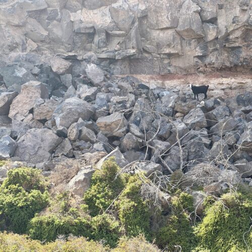 IMG_4367barranco de los molinos