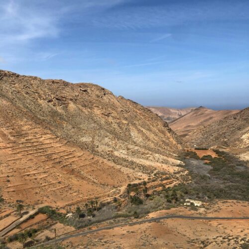 pipine-2-0-hDwWPrln8lo-unsplash