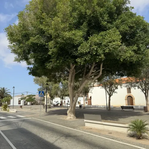 IMG_4251tetir_result