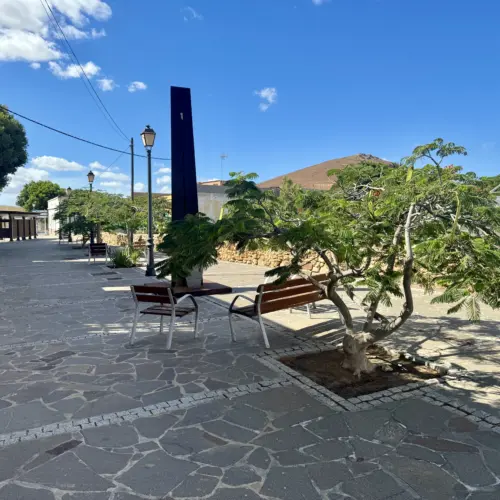 IMG_4449tiscamanita_result