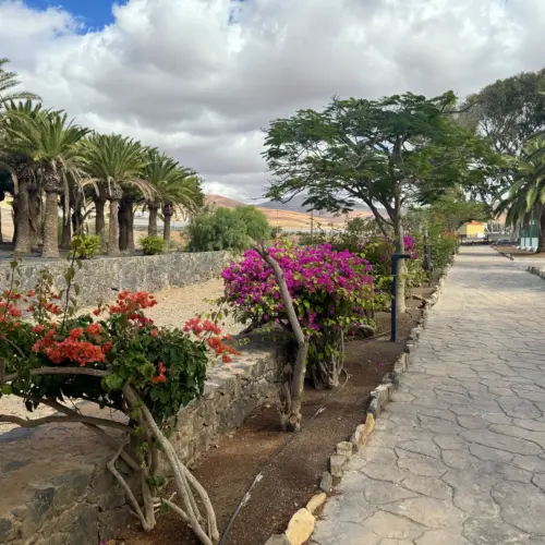 IMG_4548pajara_result