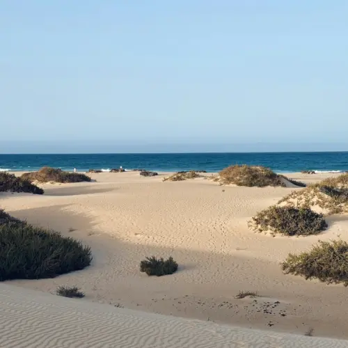 fabio-traina-6-unsplashdunas_result