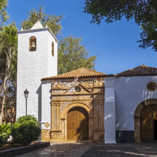 iStock-1156054956pajara_result