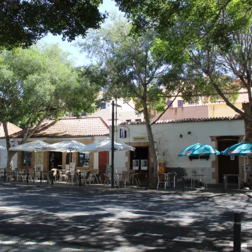 iStock-1288648192pajara_result