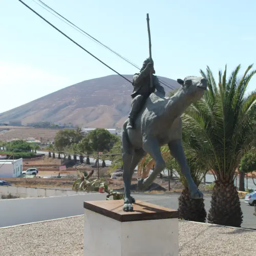 iStock-1299970846tuineje_result