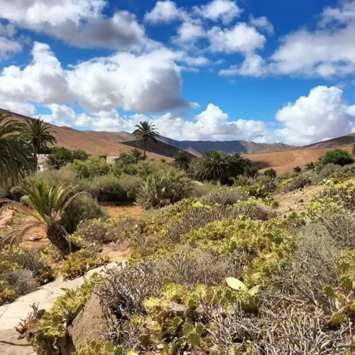 iStock-1449153563betancuria_result