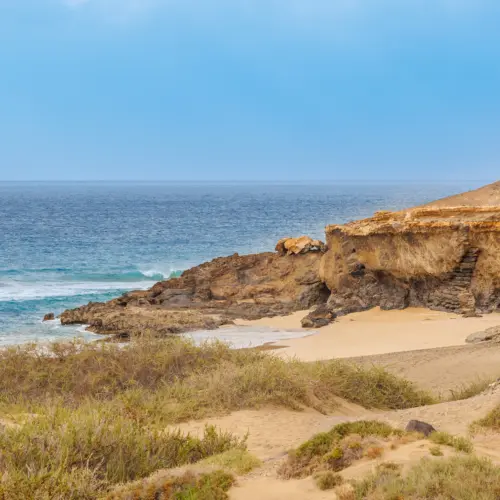 iStock-1473943734jarubio_result