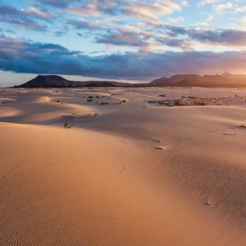 iStock-1484576636dunas_result