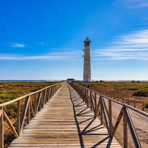 iStock-1484588825matorral_result