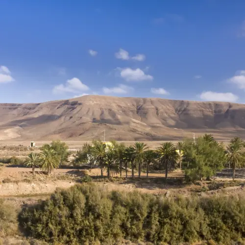 iStock-1527635269tuineje_result