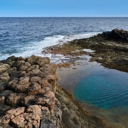 iStock-1737435793krabben_result