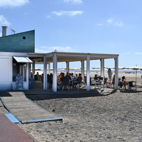 iStock-2050692432matorral_result