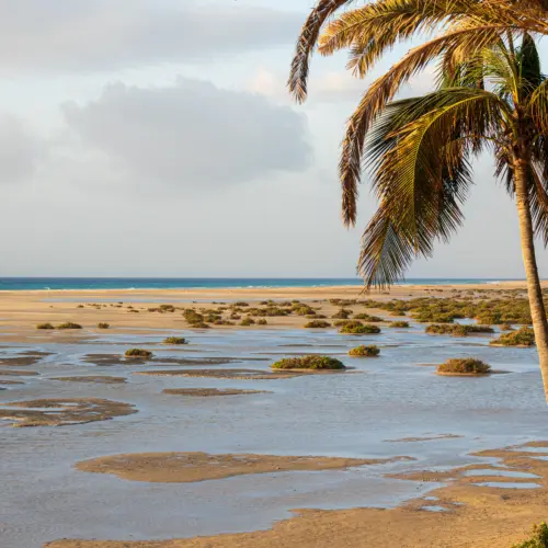 iStock-2164666980sotavento_result