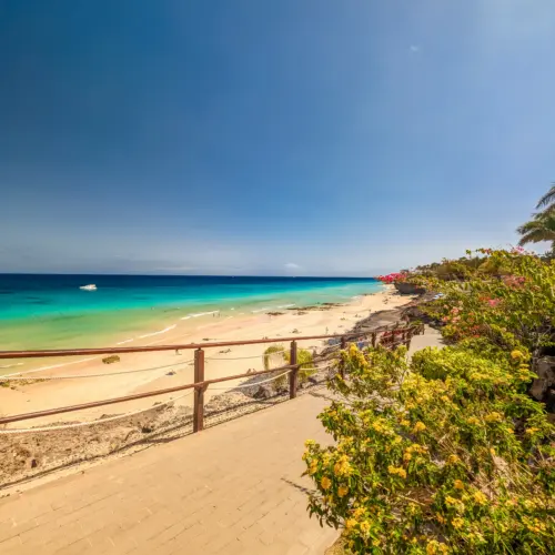 iStock-2187300780butihondo_result