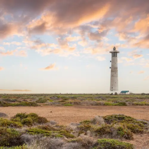 iStock-2194405858matorral_result