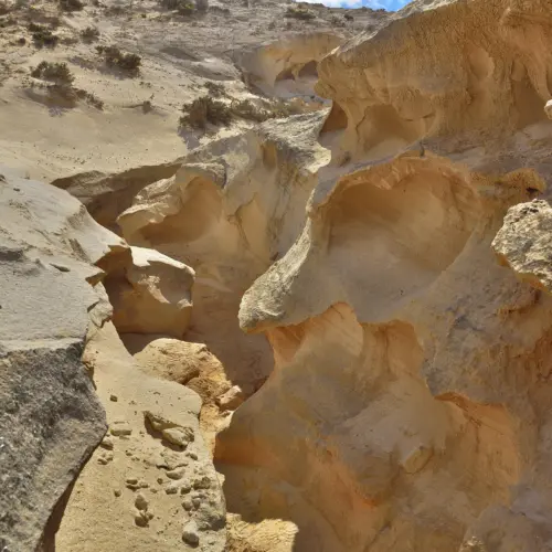 iStock-660288726esquinzo_result