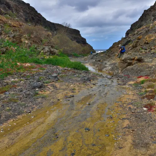 iStock-660472548esquinzo_result