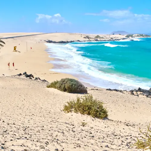 iStock-827667390alzada_result