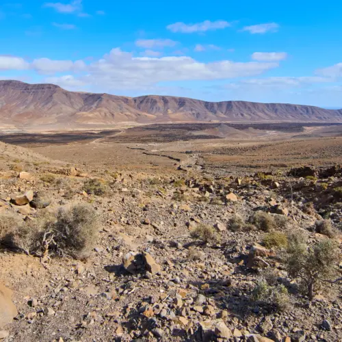 iStock-882354298atalayita_result