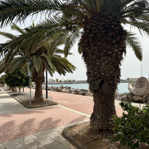 IMG_3475Puerto del Rosario_result