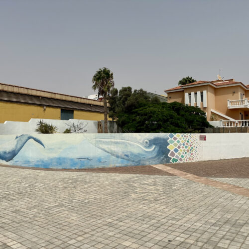 IMG_3523Puerto del Rosario_result