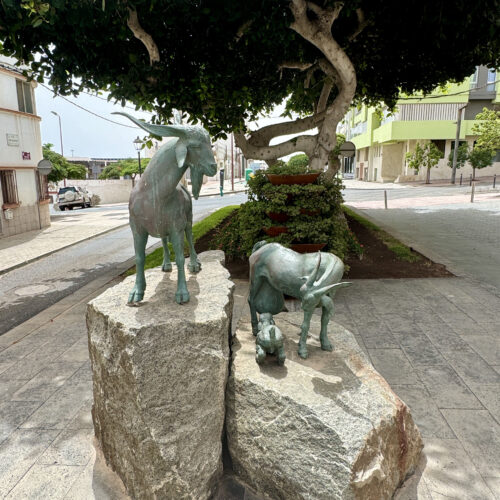 IMG_7211Puerto del Rosario_result