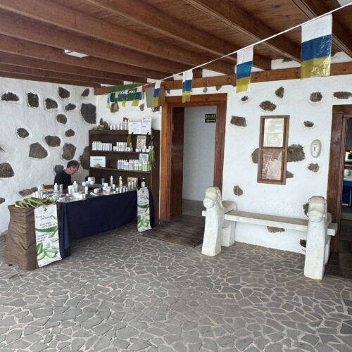 IMG_7857Mercade de las tradiciones_result