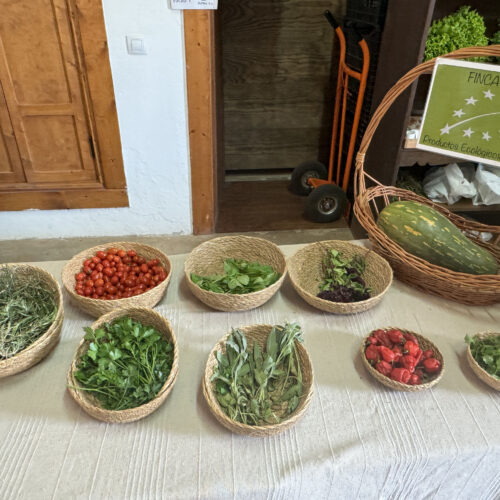 IMG_7862Mercade de las tradiciones_result