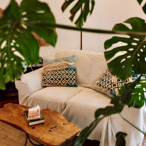 IMG_7936Secret Garden Lajares_result