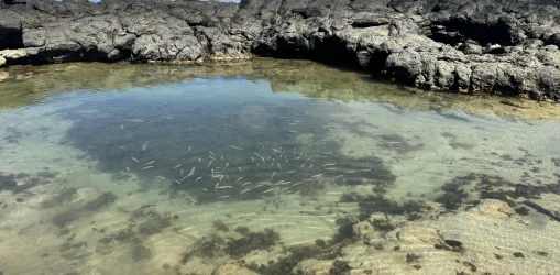 IMG_3667los charcos_result