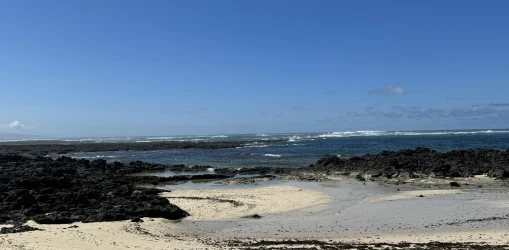 IMG_3697barra_result