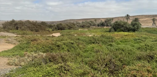 IMG_3739barranco torre_result