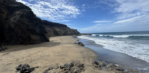 IMG_3980 3tebeto_result