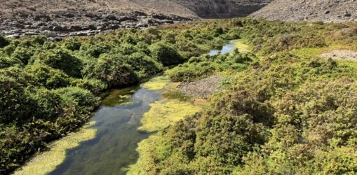 IMG_4326barranco de los molinos