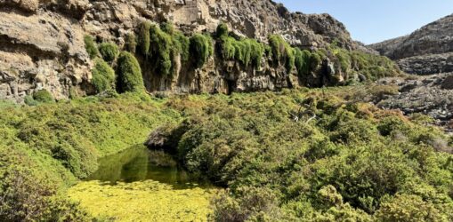 IMG_4380barranco de los molinos