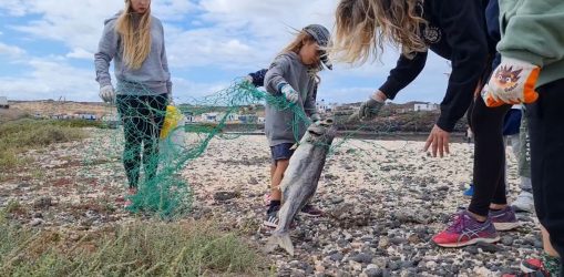 PHOTO-2025-12-18-18-18-48Limpiaventura